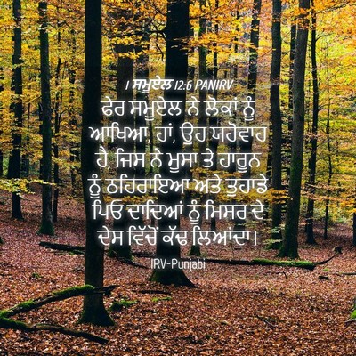 Picture 04 - 1 ਸਮੂਏਲ 12:6 PANIRV - ਫੇਰ ਸਮੂਏਲ ਨੇ ਲੋਕਾਂ - Bible Verse Picture