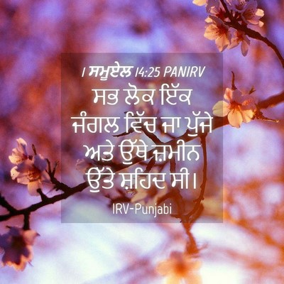 Picture 04 - 1 ਸਮੂਏਲ 14:25 PANIRV - ਸਭ ਲੋਕ ਇੱਕ ਜੰਗਲ - Bible Verse Picture