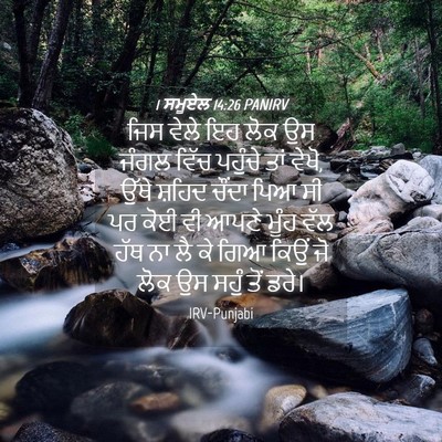 Picture 04 - 1 ਸਮੂਏਲ 14:26 PANIRV - ਜਿਸ ਵੇਲੇ ਇਹ ਲੋਕ ਉਸ - Bible Verse Picture