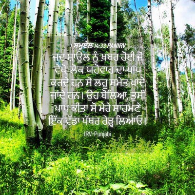 Picture 04 - 1 ਸਮੂਏਲ 14:33 PANIRV - ਜਦ ਸ਼ਾਊਲ ਨੂੰ ਖ਼ਬਰ - Bible Verse Picture