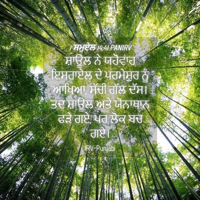 Picture 04 - 1 ਸਮੂਏਲ 14:41 PANIRV - ਸ਼ਾਊਲ ਨੇ ਯਹੋਵਾਹ - Bible Verse Picture