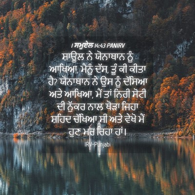 Picture 04 - 1 ਸਮੂਏਲ 14:43 PANIRV - ਸ਼ਾਊਲ ਨੇ ਯੋਨਾਥਾਨ - Bible Verse Picture