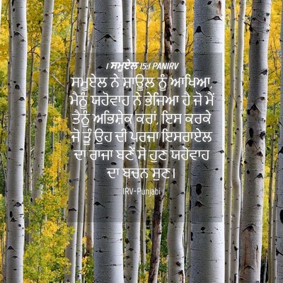 Picture 04 - 1 ਸਮੂਏਲ 15:1 PANIRV - ਸਮੂਏਲ ਨੇ ਸ਼ਾਊਲ ਨੂੰ - Bible Verse Picture