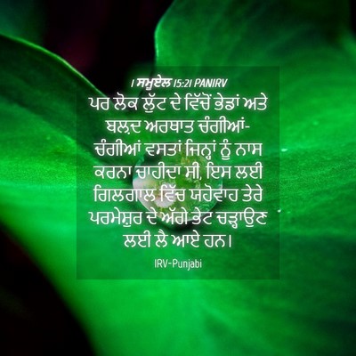 Picture 04 - 1 ਸਮੂਏਲ 15:21 PANIRV - ਪਰ ਲੋਕ ਲੁੱਟ ਦੇ - Bible Verse Picture