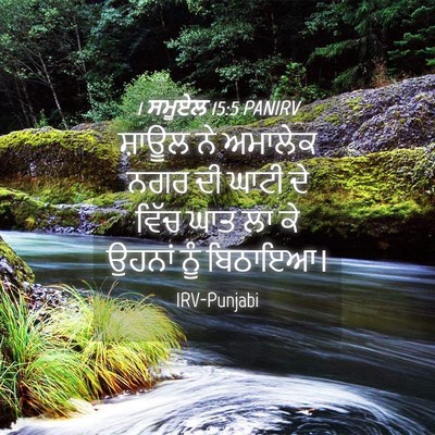 Picture 04 - 1 ਸਮੂਏਲ 15:5 PANIRV - ਸ਼ਾਊਲ ਨੇ ਅਮਾਲੇਕ - Bible Verse Picture