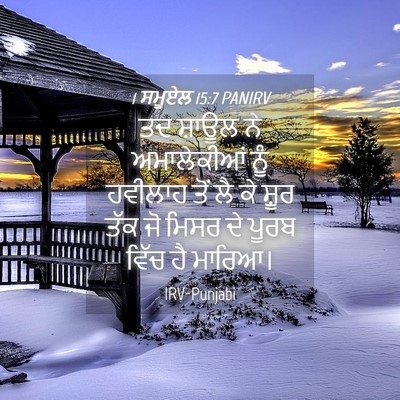 Picture 04 - 1 ਸਮੂਏਲ 15:7 PANIRV - ਤਦ ਸ਼ਾਊਲ ਨੇ - Bible Verse Picture