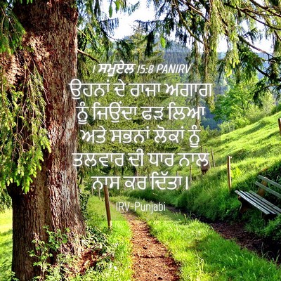 Picture 04 - 1 ਸਮੂਏਲ 15:8 PANIRV - ਉਹਨਾਂ ਦੇ ਰਾਜਾ ਅਗਾਗ - Bible Verse Picture