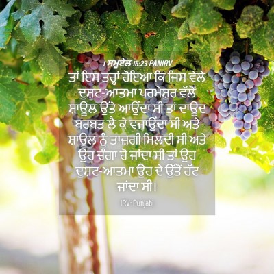 Picture 04 - 1 ਸਮੂਏਲ 16:23 PANIRV - ਤਾਂ ਇਸ ਤਰ੍ਹਾਂ ਹੋਇਆ - Bible Verse Picture