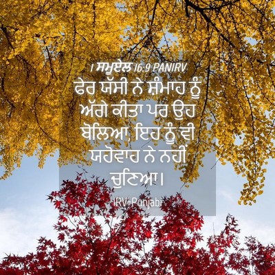 Picture 04 - 1 ਸਮੂਏਲ 16:9 PANIRV - ਫੇਰ ਯੱਸੀ ਨੇ ਸ਼ੰਮਾਹ - Bible Verse Picture