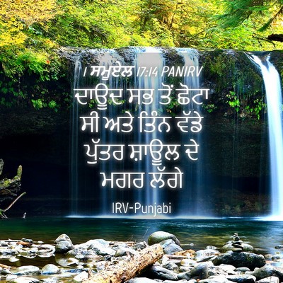 Picture 04 - 1 ਸਮੂਏਲ 17:14 PANIRV - ਦਾਊਦ ਸਭ ਤੋਂ ਛੋਟਾ ਸੀ - Bible Verse Picture