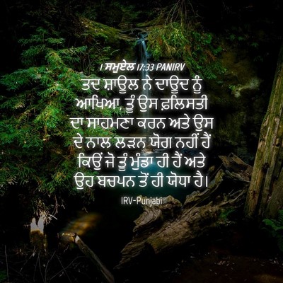 Picture 04 - 1 ਸਮੂਏਲ 17:33 PANIRV - ਤਦ ਸ਼ਾਊਲ ਨੇ ਦਾਊਦ - Bible Verse Picture