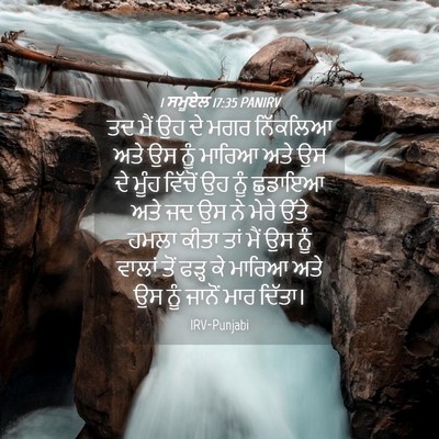 Picture 04 - 1 ਸਮੂਏਲ 17:35 PANIRV - ਤਦ ਮੈਂ ਉਹ ਦੇ ਮਗਰ - Bible Verse Picture