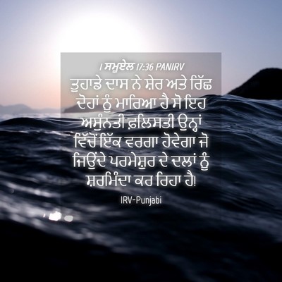 Picture 04 - 1 ਸਮੂਏਲ 17:36 PANIRV - ਤੁਹਾਡੇ ਦਾਸ ਨੇ ਸ਼ੇਰ - Bible Verse Picture