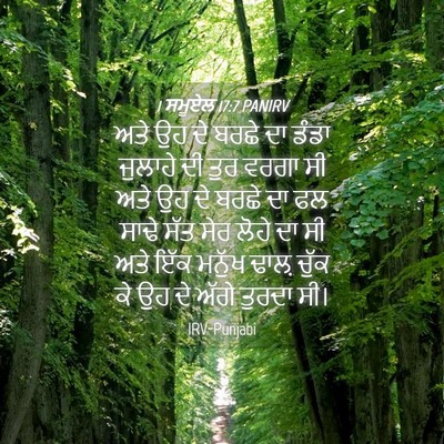 Picture 04 - 1 ਸਮੂਏਲ 17:7 PANIRV - ਅਤੇ ਉਹ ਦੇ ਬਰਛੇ ਦਾ - Bible Verse Picture