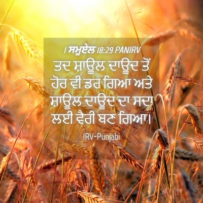 Picture 04 - 1 ਸਮੂਏਲ 18:29 PANIRV - ਤਦ ਸ਼ਾਊਲ ਦਾਊਦ ਤੋਂ - Bible Verse Picture