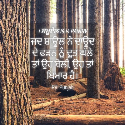 Picture 04 - 1 ਸਮੂਏਲ 19:14 PANIRV - ਜਦ ਸ਼ਾਊਲ ਨੇ ਦਾਊਦ ਦੇ - Bible Verse Picture