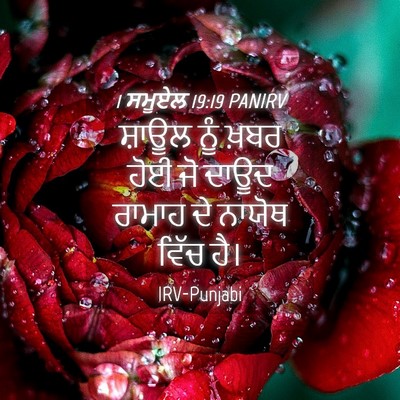 Picture 04 - 1 ਸਮੂਏਲ 19:19 PANIRV - ਸ਼ਾਊਲ ਨੂੰ ਖ਼ਬਰ ਹੋਈ - Bible Verse Picture