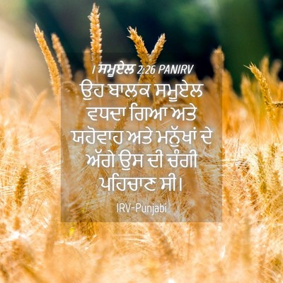 Picture 04 - 1 ਸਮੂਏਲ 2:26 PANIRV - ਉਹ ਬਾਲਕ ਸਮੂਏਲ ਵਧਦਾ - Bible Verse Picture