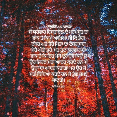 Picture 04 - 1 ਸਮੂਏਲ 2:30 PANIRV - ਸੋ ਯਹੋਵਾਹ ਇਸਰਾਏਲ - Bible Verse Picture