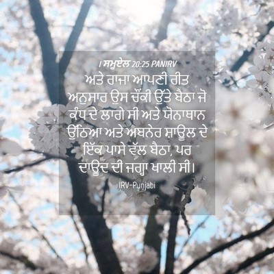 Picture 04 - 1 ਸਮੂਏਲ 20:25 PANIRV - ਅਤੇ ਰਾਜਾ ਆਪਣੀ ਰੀਤ - Bible Verse Picture