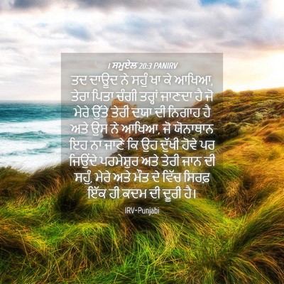 Picture 04 - 1 ਸਮੂਏਲ 20:3 PANIRV - ਤਦ ਦਾਊਦ ਨੇ ਸਹੁੰ ਖਾ - Bible Verse Picture