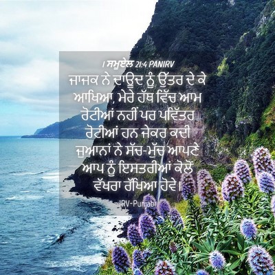 Picture 04 - 1 ਸਮੂਏਲ 21:4 PANIRV - ਜਾਜਕ ਨੇ ਦਾਊਦ ਨੂੰ - Bible Verse Picture