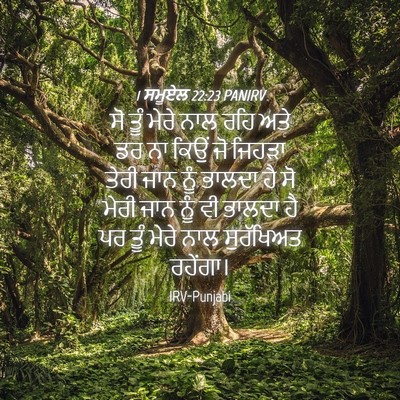 Picture 04 - 1 ਸਮੂਏਲ 22:23 PANIRV - ਸੋ ਤੂੰ ਮੇਰੇ ਨਾਲ ਰਹਿ - Bible Verse Picture