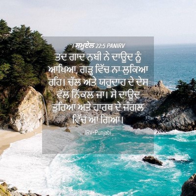 Picture 04 - 1 ਸਮੂਏਲ 22:5 PANIRV - ਤਦ ਗਾਦ ਨਬੀ ਨੇ ਦਾਊਦ - Bible Verse Picture