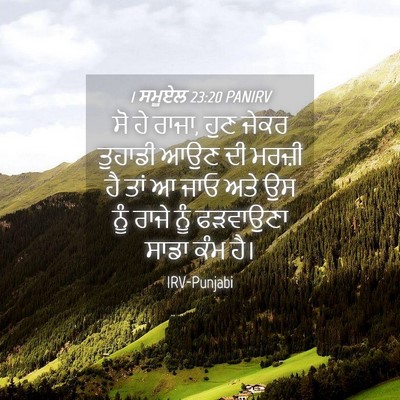 Picture 04 - 1 ਸਮੂਏਲ 23:20 PANIRV - ਸੋ ਹੇ ਰਾਜਾ, ਹੁਣ - Bible Verse Picture