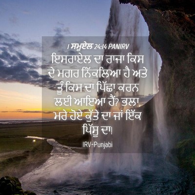 Picture 04 - 1 ਸਮੂਏਲ 24:14 PANIRV - ਇਸਰਾਏਲ ਦਾ ਰਾਜਾ ਕਿਸ - Bible Verse Picture