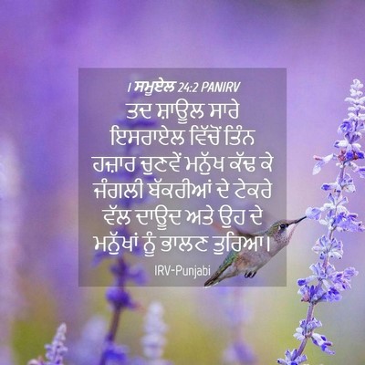 Picture 04 - 1 ਸਮੂਏਲ 24:2 PANIRV - ਤਦ ਸ਼ਾਊਲ ਸਾਰੇ - Bible Verse Picture
