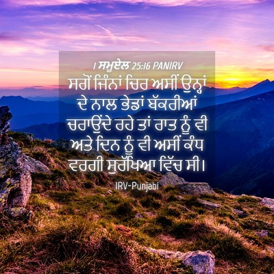 Picture 04 - 1 ਸਮੂਏਲ 25:16 PANIRV - ਸਗੋਂ ਜਿੰਨਾਂ ਚਿਰ - Bible Verse Picture