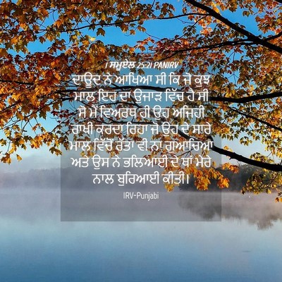 Picture 04 - 1 ਸਮੂਏਲ 25:21 PANIRV - ਦਾਊਦ ਨੇ ਆਖਿਆ ਸੀ ਕਿ - Bible Verse Picture