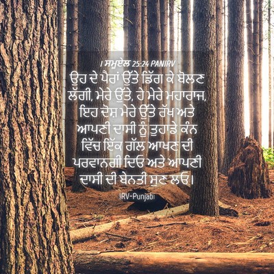 Picture 04 - 1 ਸਮੂਏਲ 25:24 PANIRV - ਉਹ ਦੇ ਪੈਰਾਂ ਉੱਤੇ - Bible Verse Picture