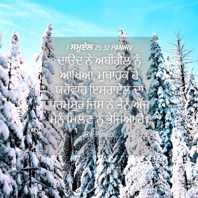 Picture 04 - 1 ਸਮੂਏਲ 25:32 PANIRV - ਦਾਊਦ ਨੇ ਅਬੀਗੈਲ ਨੂੰ - Bible Verse Picture