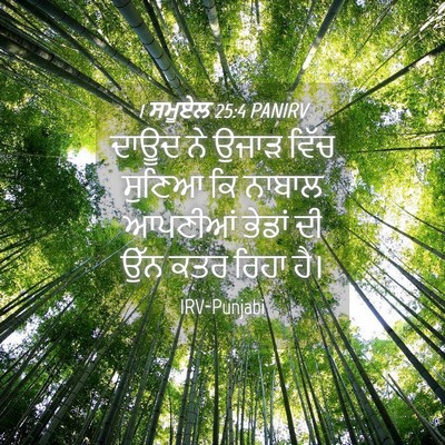 Picture 04 - 1 ਸਮੂਏਲ 25:4 PANIRV - ਦਾਊਦ ਨੇ ਉਜਾੜ ਵਿੱਚ - Bible Verse Picture
