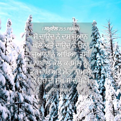 Picture 04 - 1 ਸਮੂਏਲ 25:5 PANIRV - ਸੋ ਦਾਊਦ ਨੇ ਦਸ ਜੁਆਨ - Bible Verse Picture