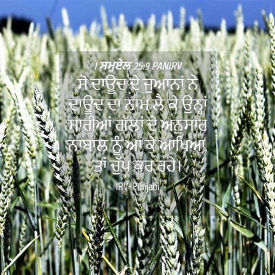 Picture 04 - 1 ਸਮੂਏਲ 25:9 PANIRV - ਸੋ ਦਾਊਦ ਦੇ ਜੁਆਨਾਂ - Bible Verse Picture
