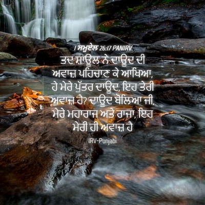 Picture 04 - 1 ਸਮੂਏਲ 26:17 PANIRV - ਤਦ ਸ਼ਾਊਲ ਨੇ ਦਾਊਦ ਦੀ - Bible Verse Picture