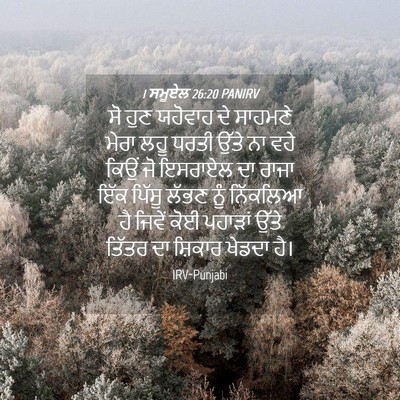 Picture 04 - 1 ਸਮੂਏਲ 26:20 PANIRV - ਸੋ ਹੁਣ ਯਹੋਵਾਹ ਦੇ - Bible Verse Picture