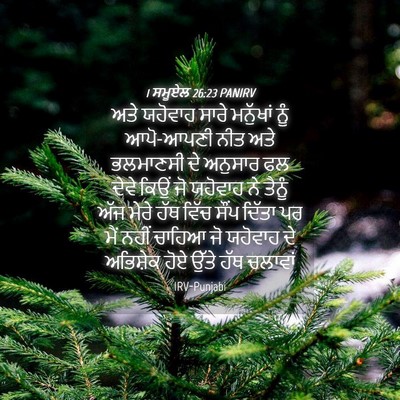 Picture 04 - 1 ਸਮੂਏਲ 26:23 PANIRV - ਅਤੇ ਯਹੋਵਾਹ ਸਾਰੇ - Bible Verse Picture