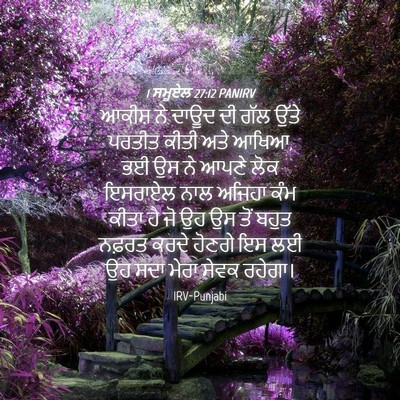 Picture 04 - 1 ਸਮੂਏਲ 27:12 PANIRV - ਆਕੀਸ਼ ਨੇ ਦਾਊਦ ਦੀ - Bible Verse Picture