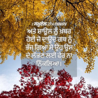 Picture 04 - 1 ਸਮੂਏਲ 27:4 PANIRV - ਅਤੇ ਸ਼ਾਊਲ ਨੂੰ ਖ਼ਬਰ - Bible Verse Picture