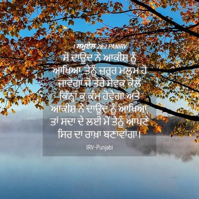 Picture 04 - 1 ਸਮੂਏਲ 28:2 PANIRV - ਸੋ ਦਾਊਦ ਨੇ ਆਕੀਸ਼ - Bible Verse Picture