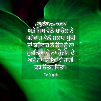 Picture 04 - 1 ਸਮੂਏਲ 28:6 PANIRV - ਅਤੇ ਜਿਸ ਵੇਲੇ ਸ਼ਾਊਲ - Bible Verse Picture