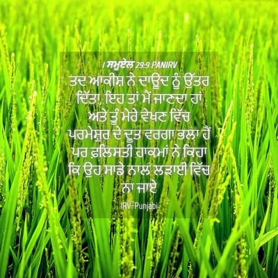 Picture 04 - 1 ਸਮੂਏਲ 29:9 PANIRV - ਤਦ ਆਕੀਸ਼ ਨੇ ਦਾਊਦ - Bible Verse Picture
