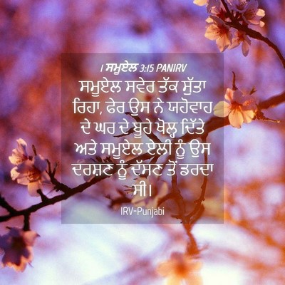 Picture 04 - 1 ਸਮੂਏਲ 3:15 PANIRV - ਸਮੂਏਲ ਸਵੇਰ ਤੱਕ - Bible Verse Picture