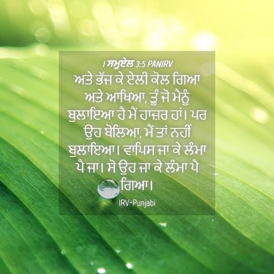 Picture 04 - 1 ਸਮੂਏਲ 3:5 PANIRV - ਅਤੇ ਭੱਜ ਕੇ ਏਲੀ ਕੋਲ - Bible Verse Picture