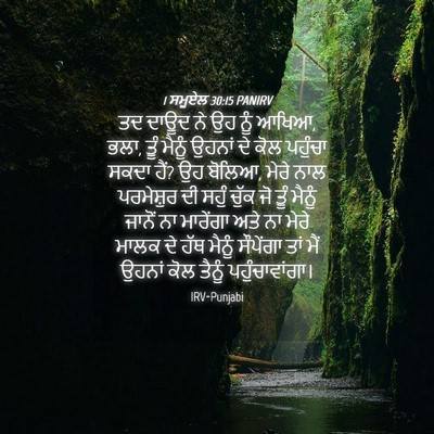 Picture 04 - 1 ਸਮੂਏਲ 30:15 PANIRV - ਤਦ ਦਾਊਦ ਨੇ ਉਹ ਨੂੰ - Bible Verse Picture