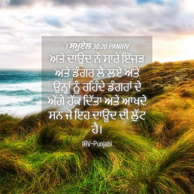 Picture 04 - 1 ਸਮੂਏਲ 30:20 PANIRV - ਅਤੇ ਦਾਊਦ ਨੇ ਸਾਰੇ - Bible Verse Picture